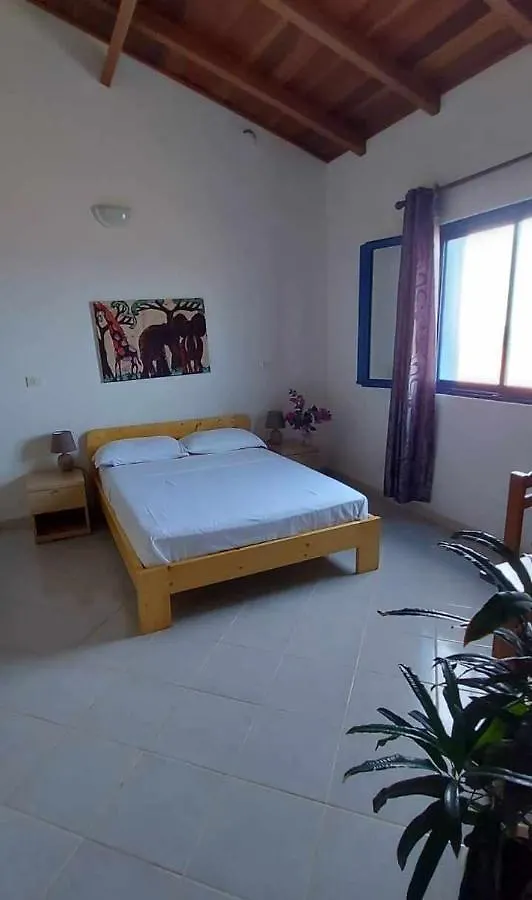 Casa Torre Hotel Palmeira Gasthuis